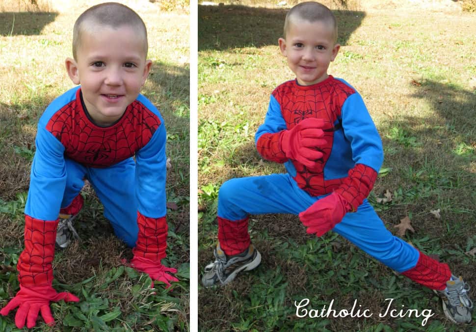 spider man costume 2013